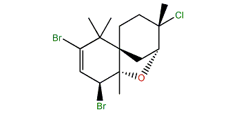 Compositacin G